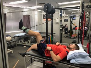 Hamstring
