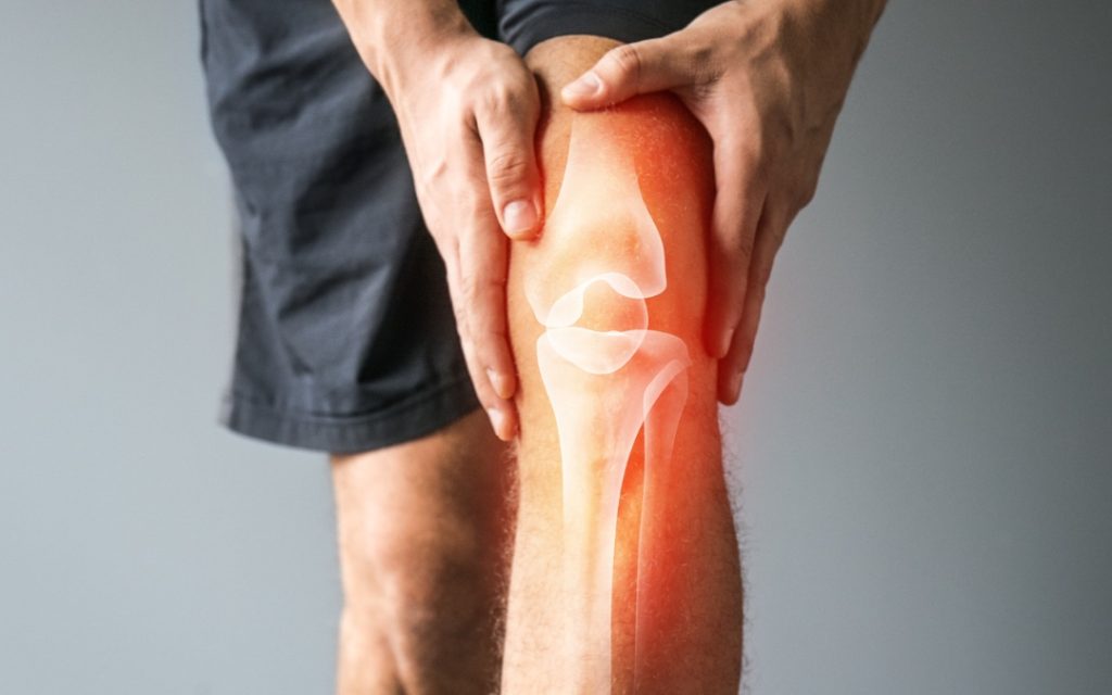 Meniscus