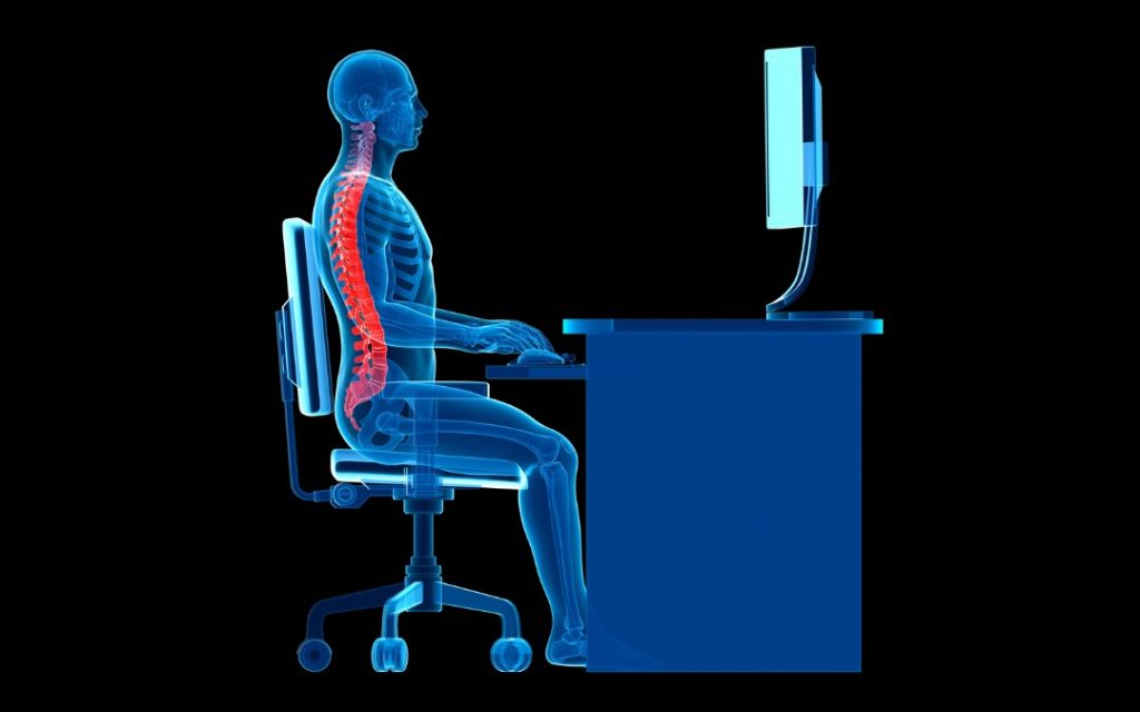 Ergonomics Anatomy