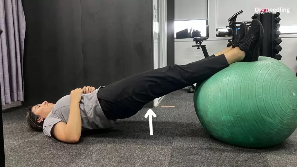 Swiss ball bridge and curl