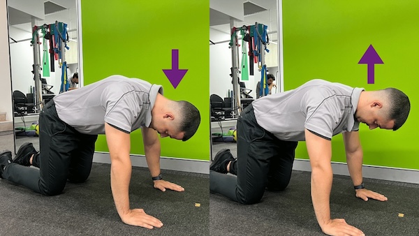 Chin retraction on hands and knees