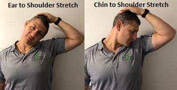 Ear to Shoulder Chin to Shoulder Stretches
